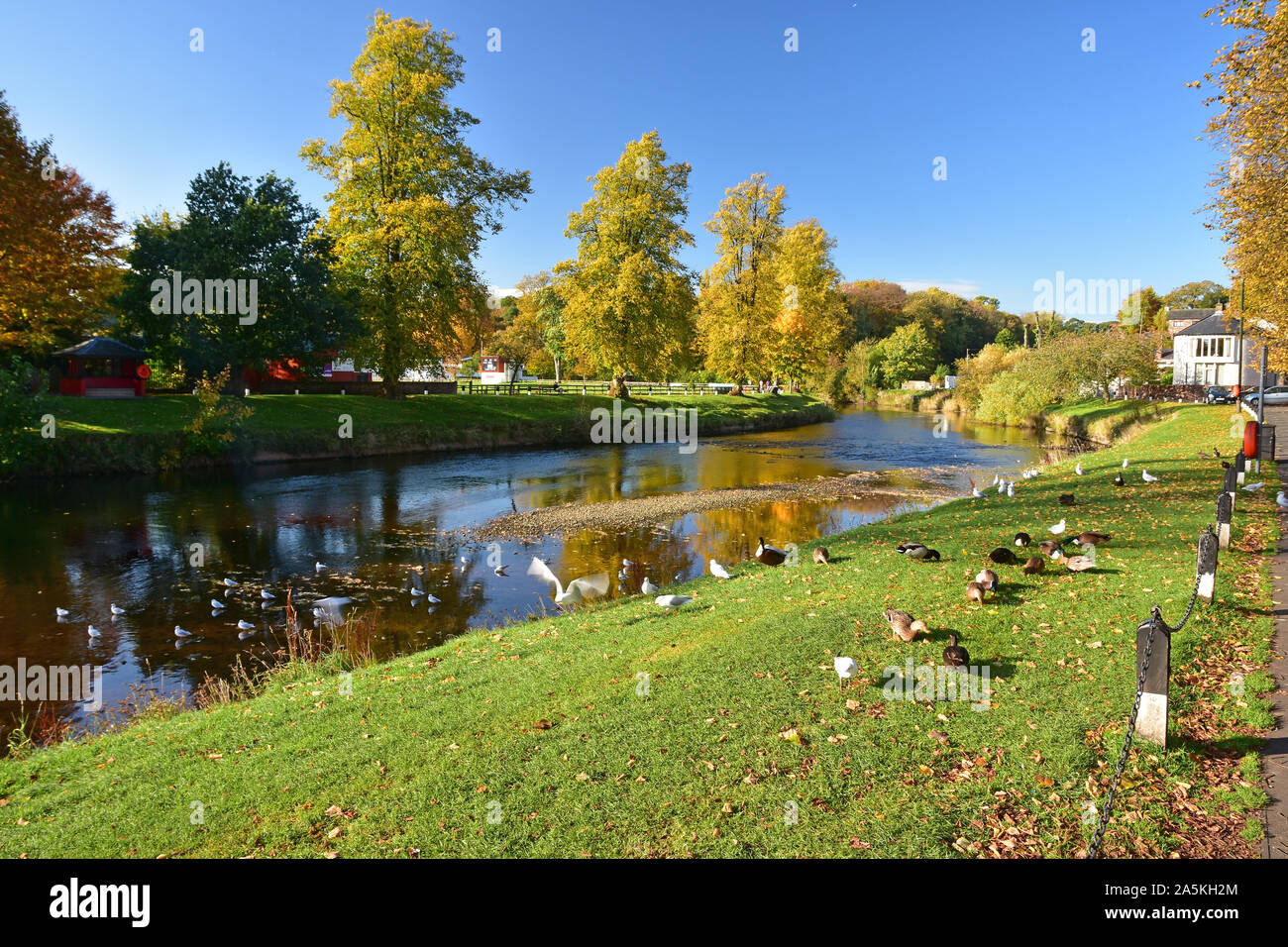 River Eden at Appleby in Autumn, Cumbria Stock Photo