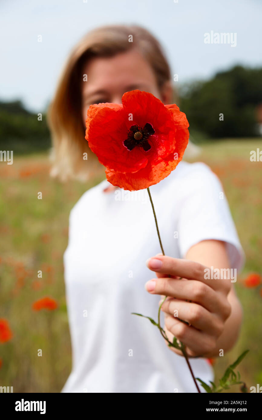 Young woman holding poppy in front of her face, in field of poppies, shallow focus Stock Photo