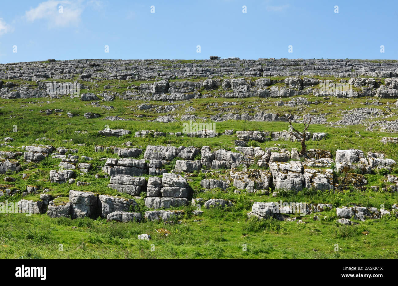 Limestone outcrop, Great Asby Scar, Great Asby, Cumbria Stock Photo Alamy