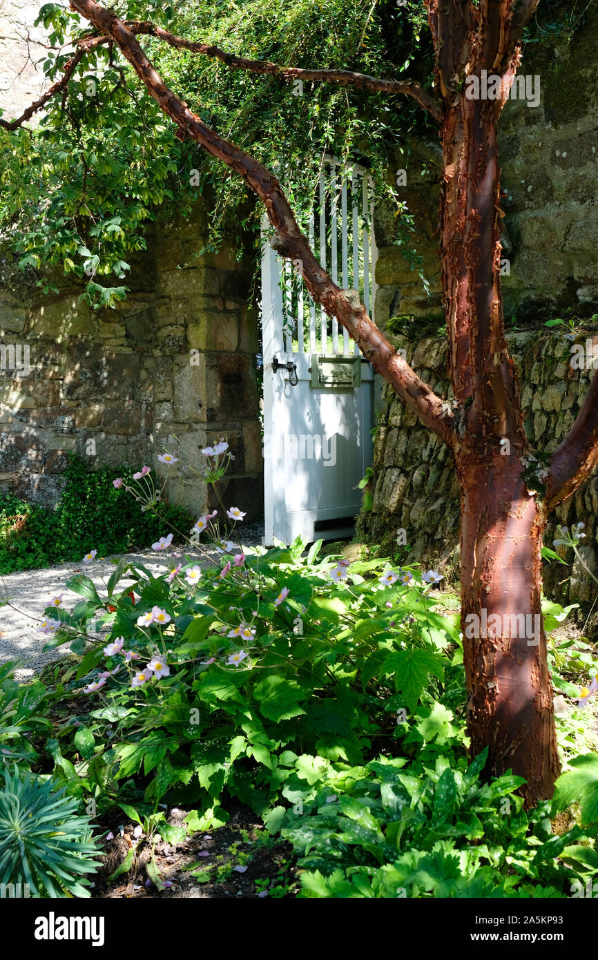 Walled garden gate hi-res stock photography and images - Alamy