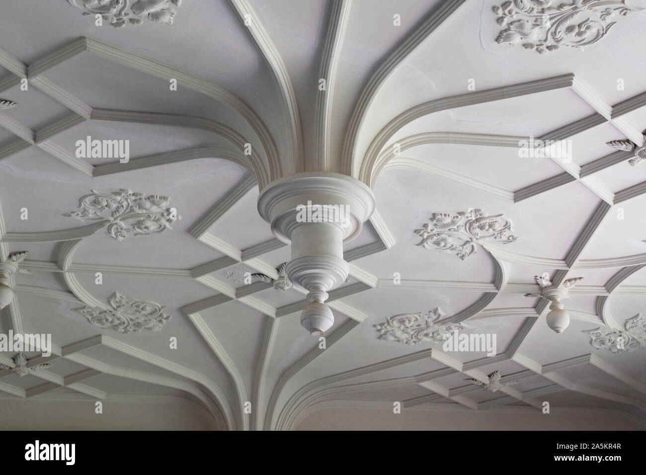 Close-up of an ornate plasterwork ceiling - John Gollop Stock Photo