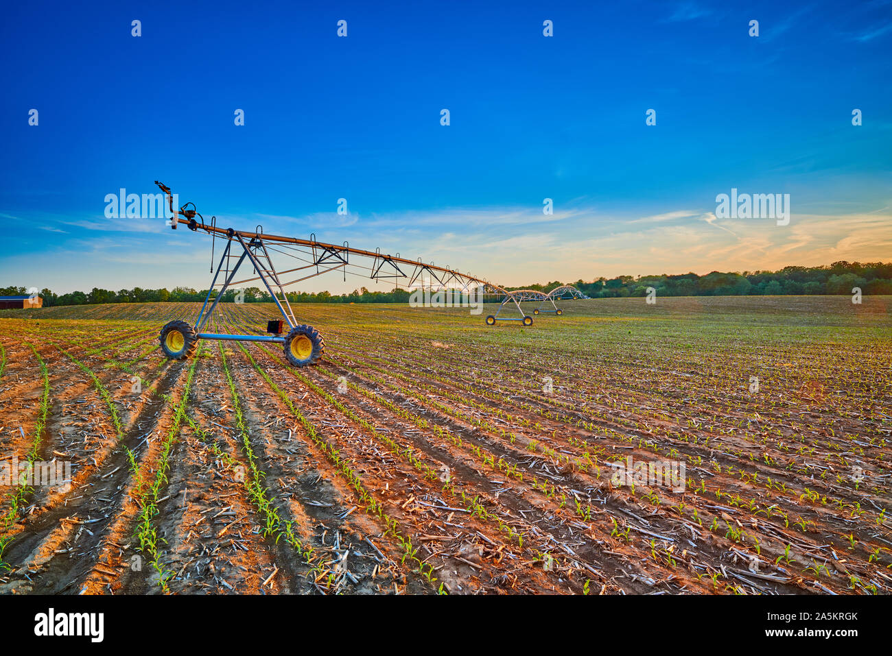 Pivot Irrigation System in Corn Field Stock Photo Alamy
