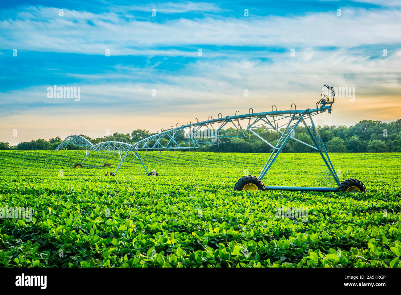 Irrigation System at Sunset. Stock Photo