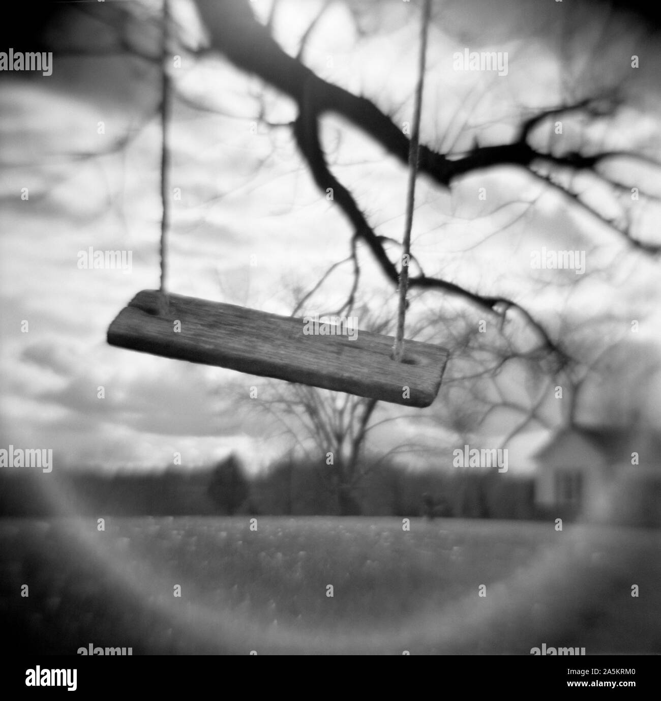 Wind blowing trees Black and White Stock Photos &amp; Images - Alamy