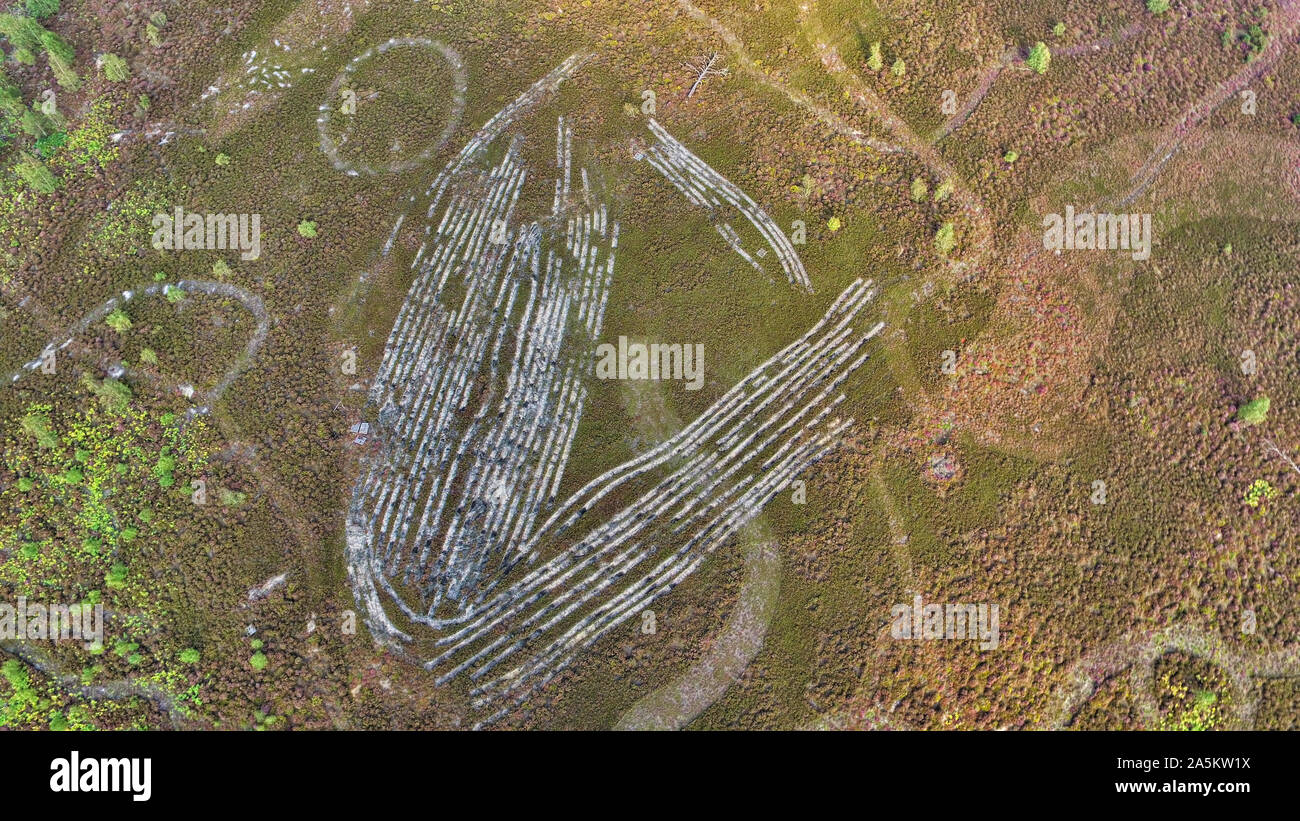 Aerial view of heath land and forest | www.mmastersphotography.com Stock Photo