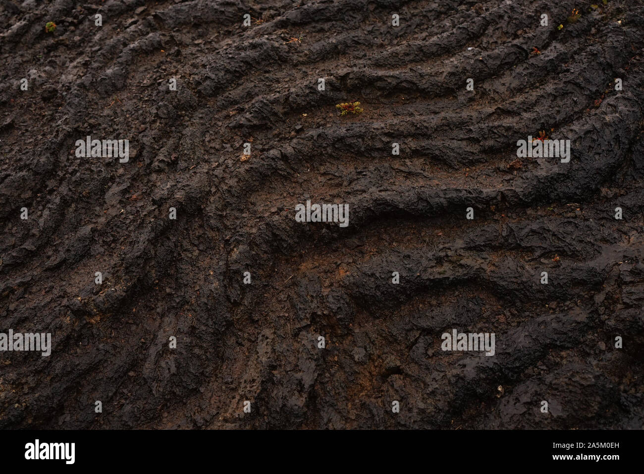 Ripples and texture in lava field rock Stock Photo