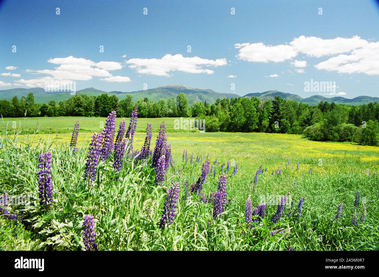 White Mountains, New Hampshire in spring Stock Photo