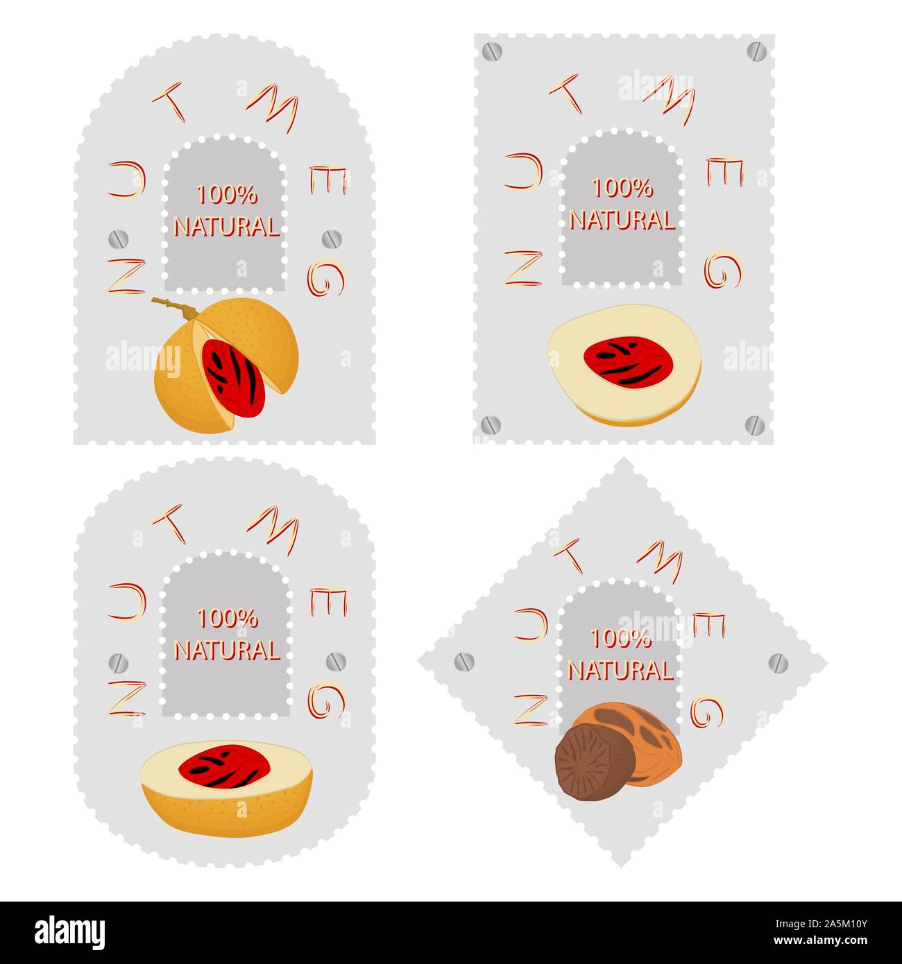 Illustration on theme big set different types spice nutmeg, nuts