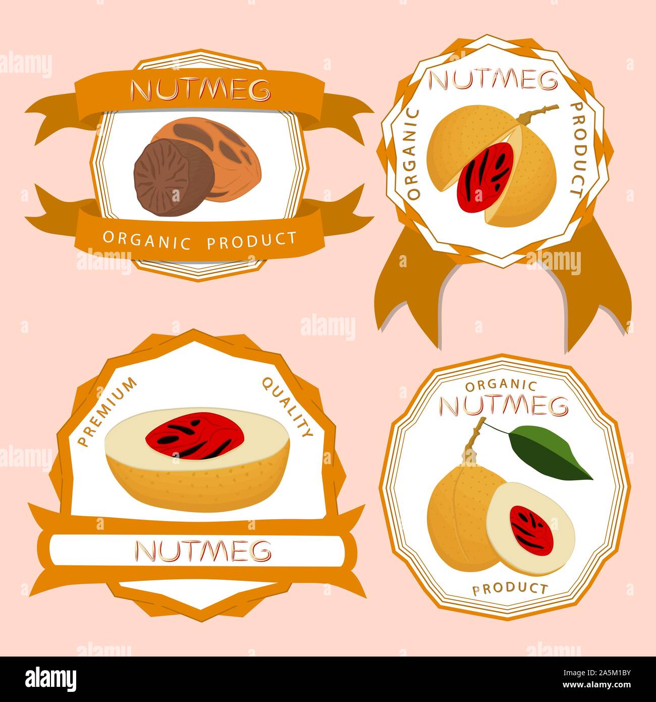 Different size nuts on the ground hires stock photography and images