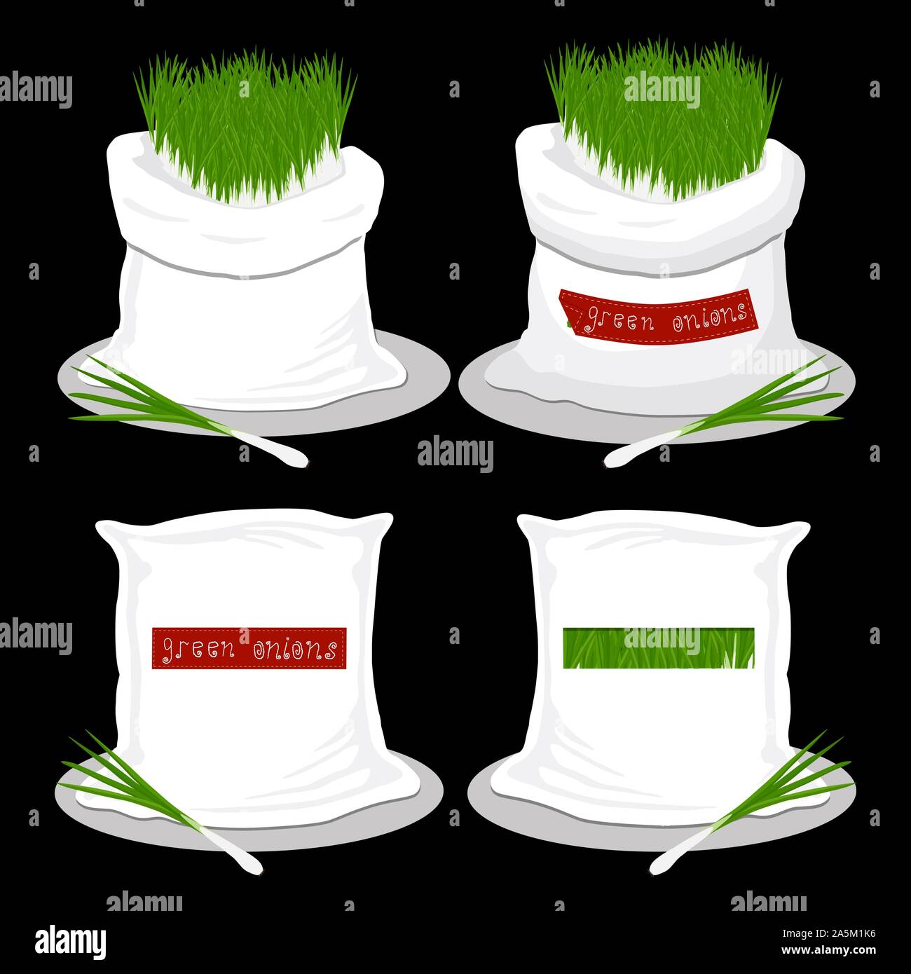 Onion vector vectors hi-res stock photography and images - Alamy