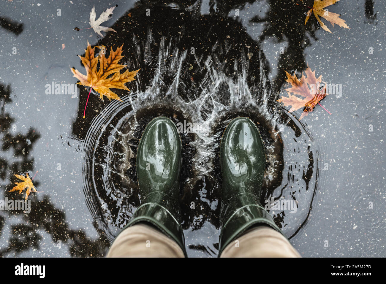Feet in olive green rubber boots standing in a puddle with fallen ...