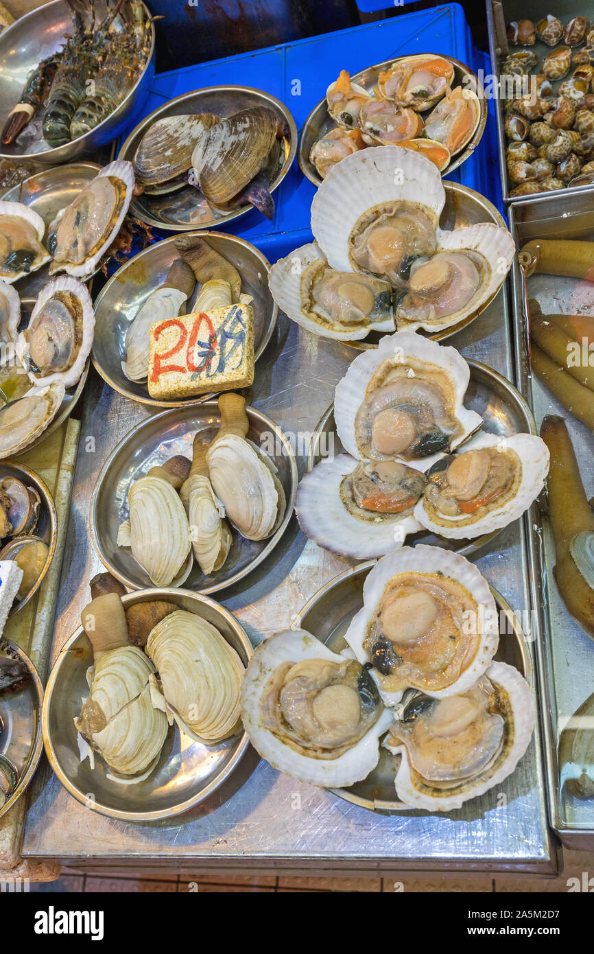 Scallops and Geoduck at Fish Market Stall Stock Photo Alamy