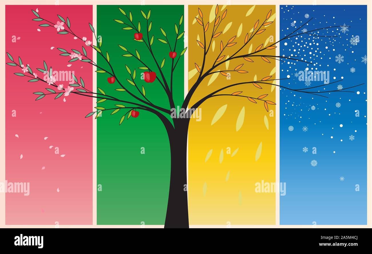 seasons-spring-summer-autumn-winter-stock-vector-image-art-alamy
