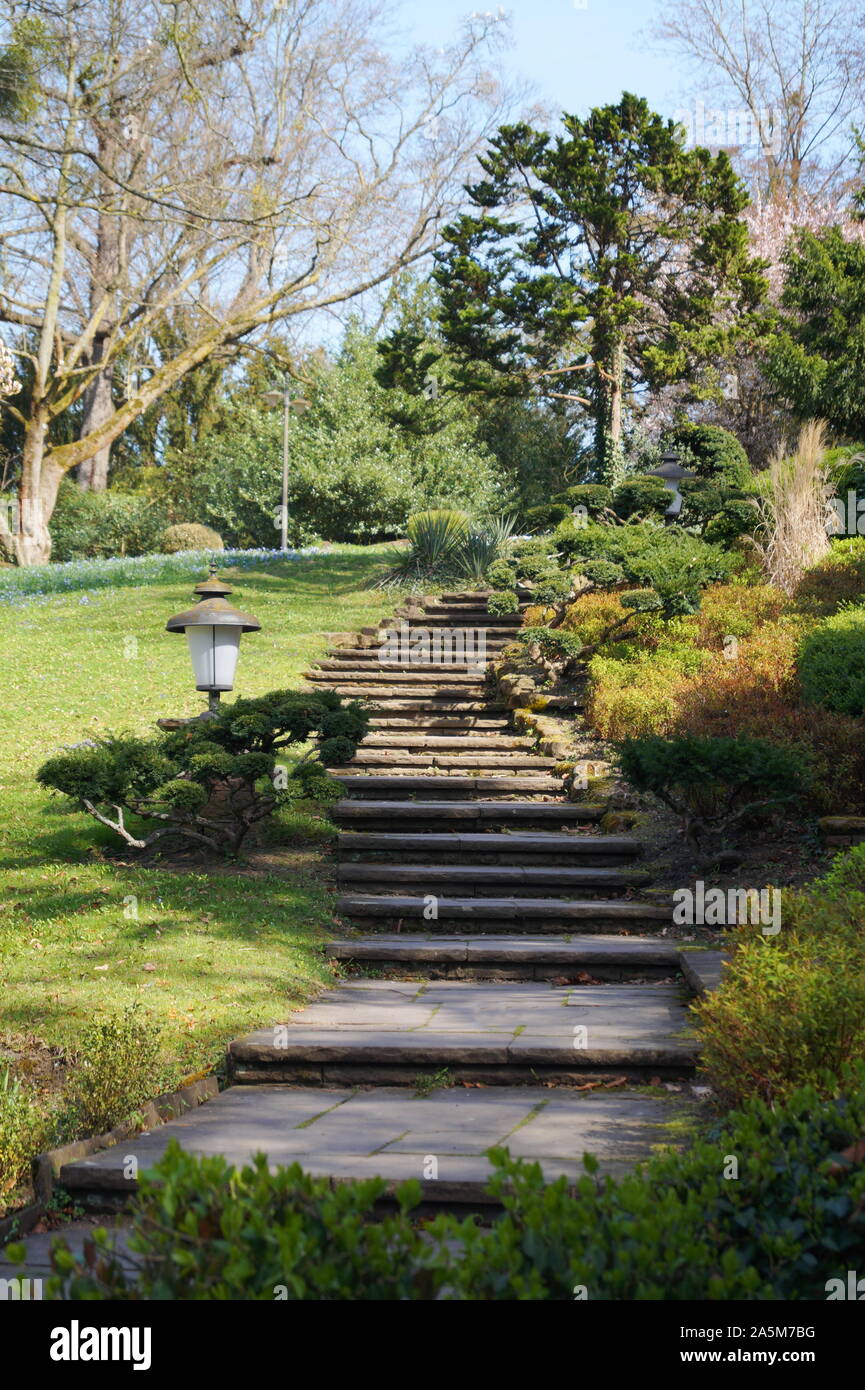 Beautiful park with a stairway Stock Photo