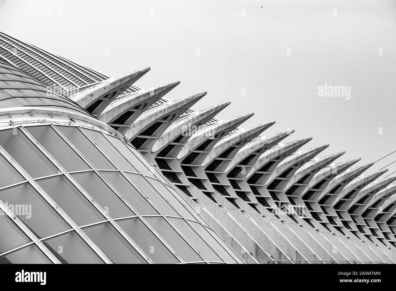 Modern architecture of the Ciudad de las Artes y las Ciencias by Santiago Calatrava in Valencia Spain Stock Photo