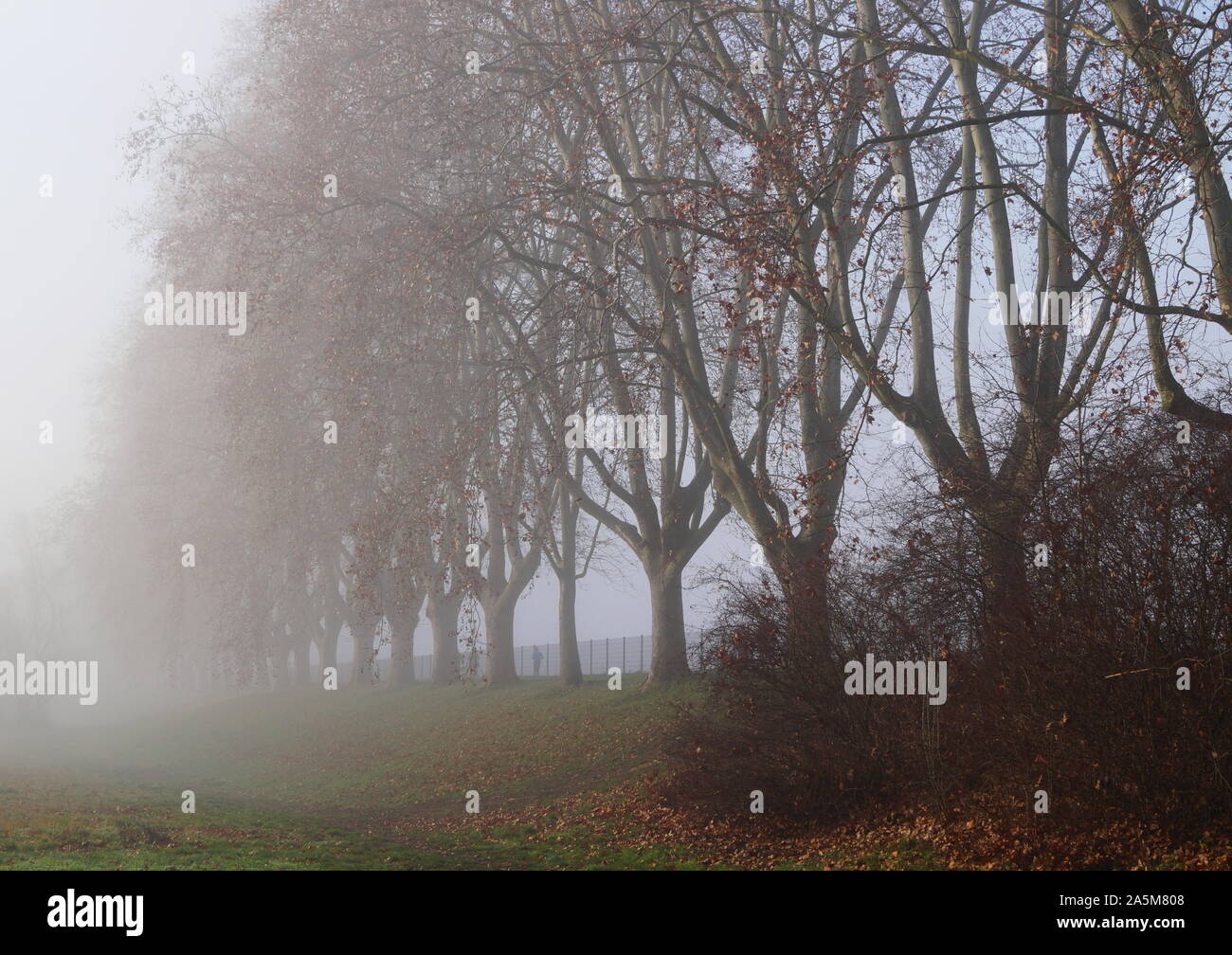 Autumn calendar scene hi-res stock photography and images - Alamy