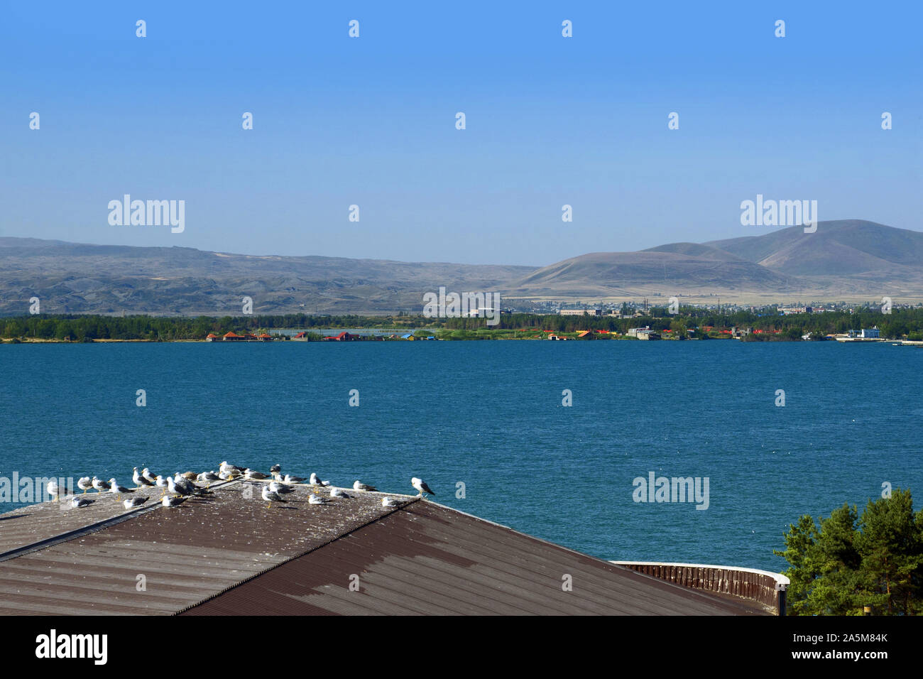 Armenia: lake sevan with gulls on a roof Stock Photo