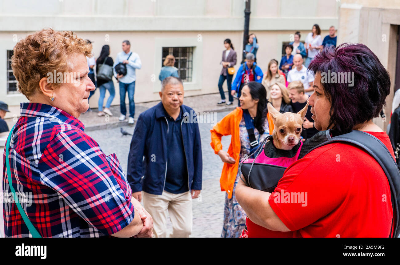 Woman with pet dog talking to friend, tourists in background, Prague, Czech Republic Stock Photo