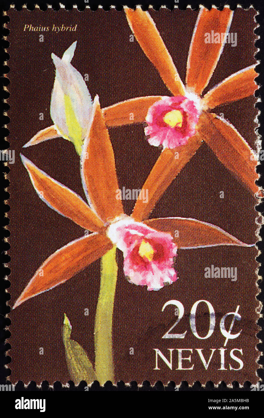 Two beautiful orchids on postage stamp of Nevis Stock Photo - Alamy