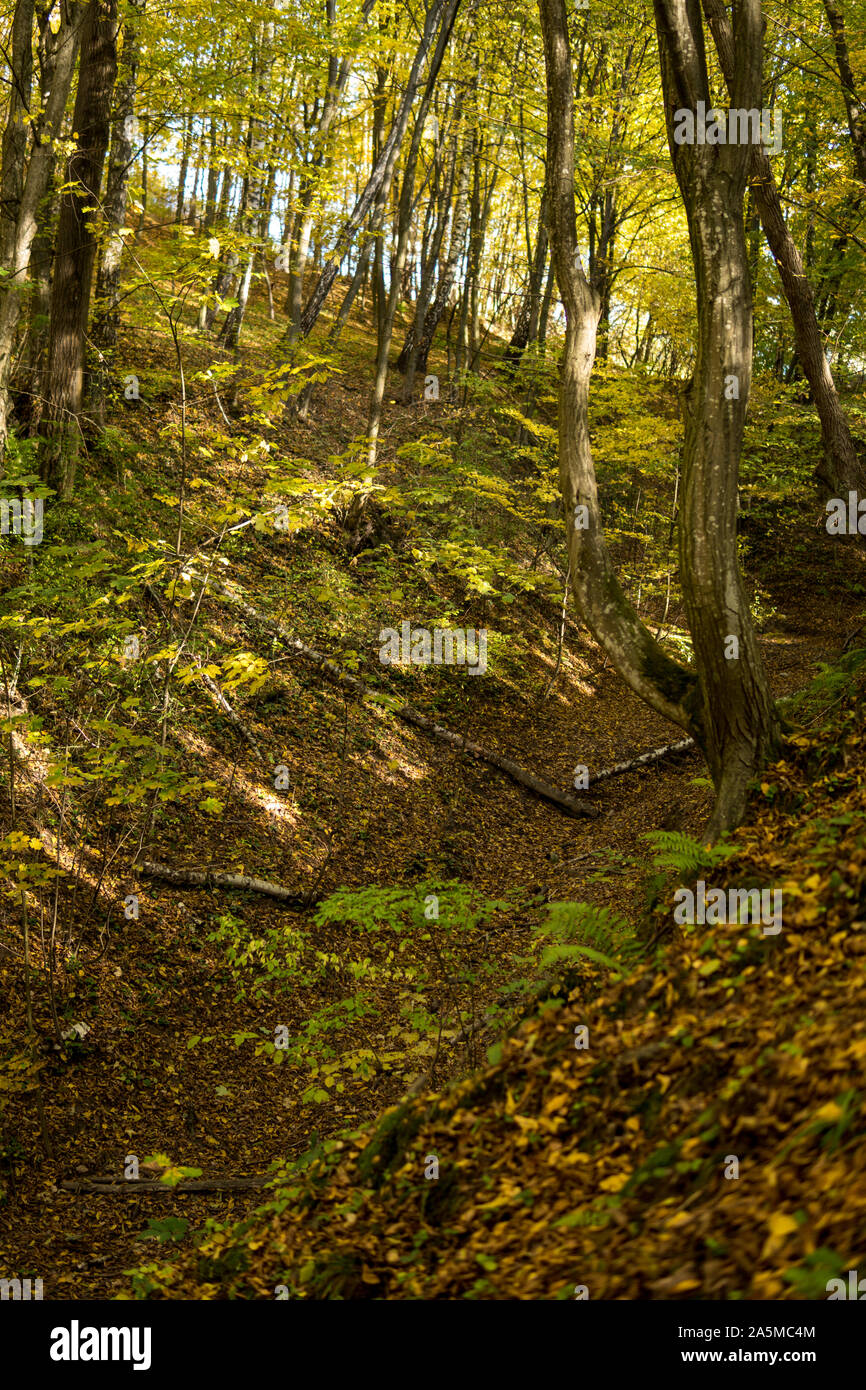 bottom of a gully landform in Kazimierz Dolny covered with a lot of leaves during sunny day in autumn season Stock Photo