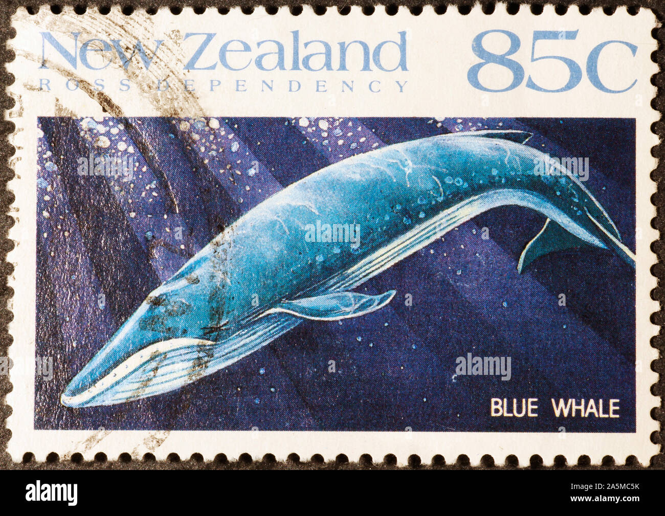 Blue whale diving on New Zealand postage stamp Stock Photo