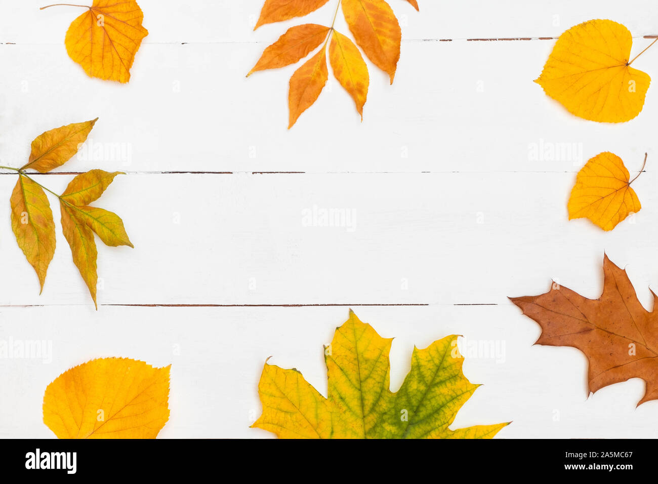 Autunm background. Frame made of yellow and orange leaves on white wooden table. Image with copy space, top view Stock Photo