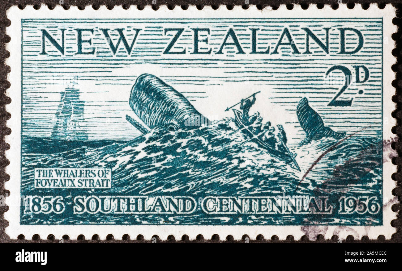 Whalers new zealand hires stock photography and images Alamy