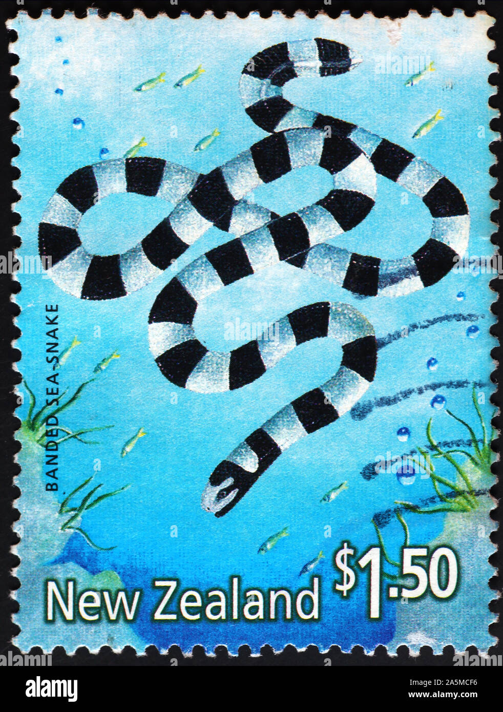 Sea snake underwater on New Zealand postage stamp Stock Photo