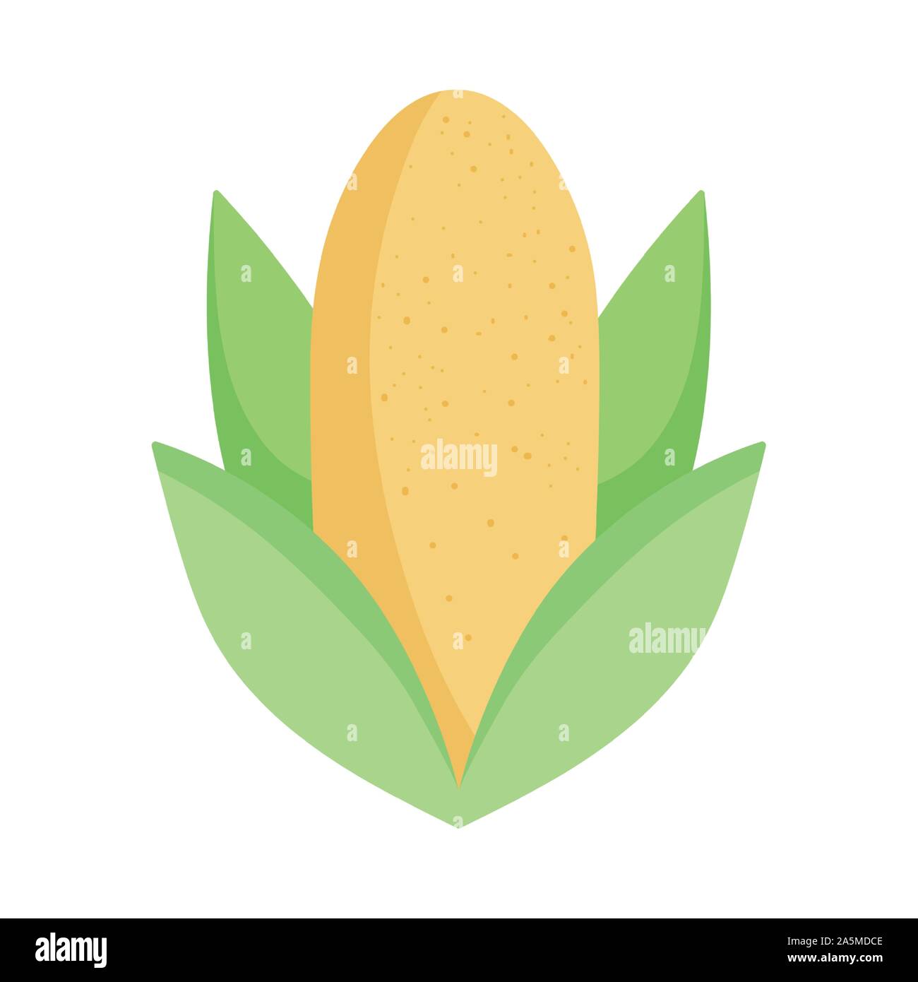 corn cob leaves food icon on white background vector illustration Stock ...