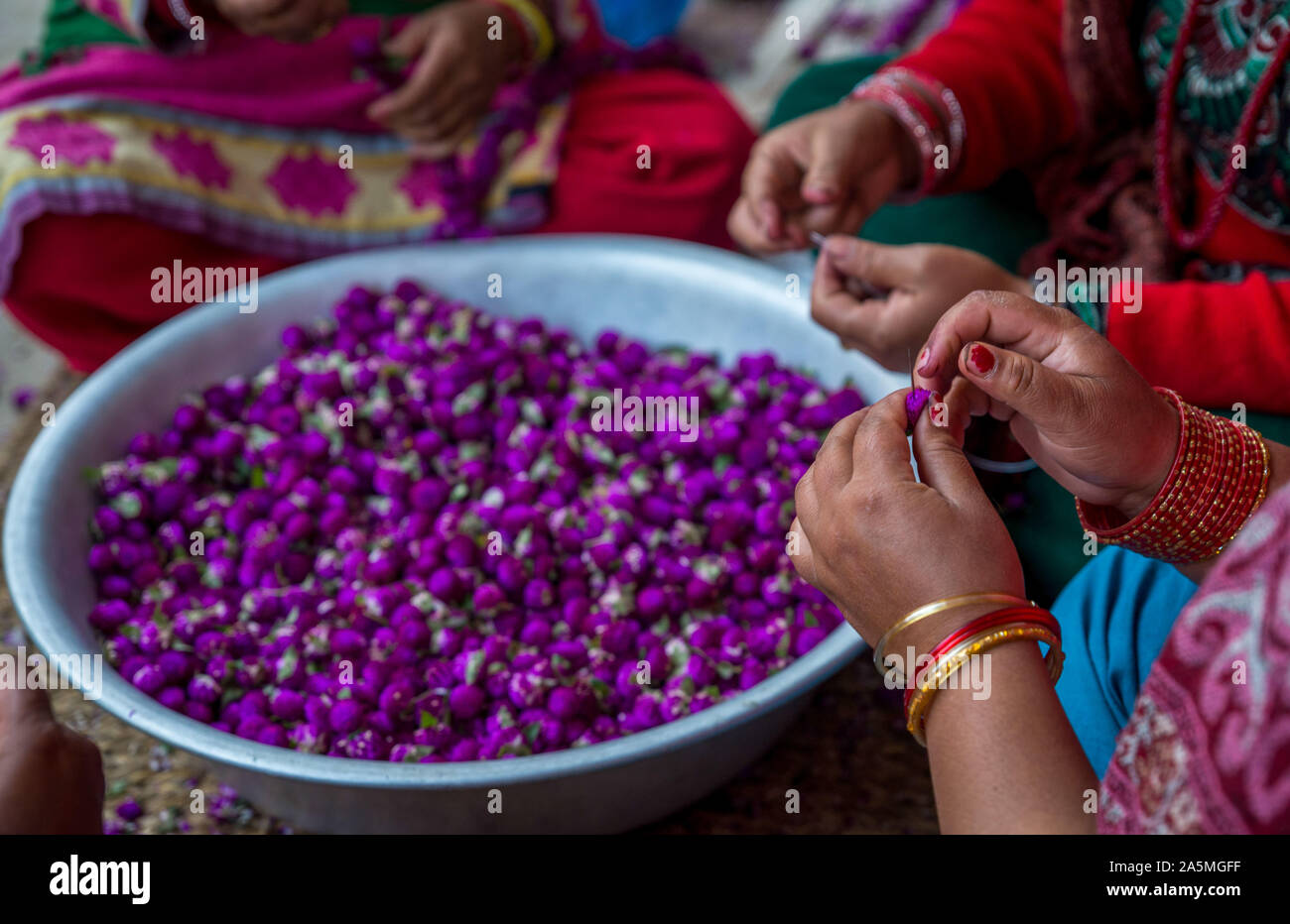 Nepalese women make garland from amaranth flowers for the