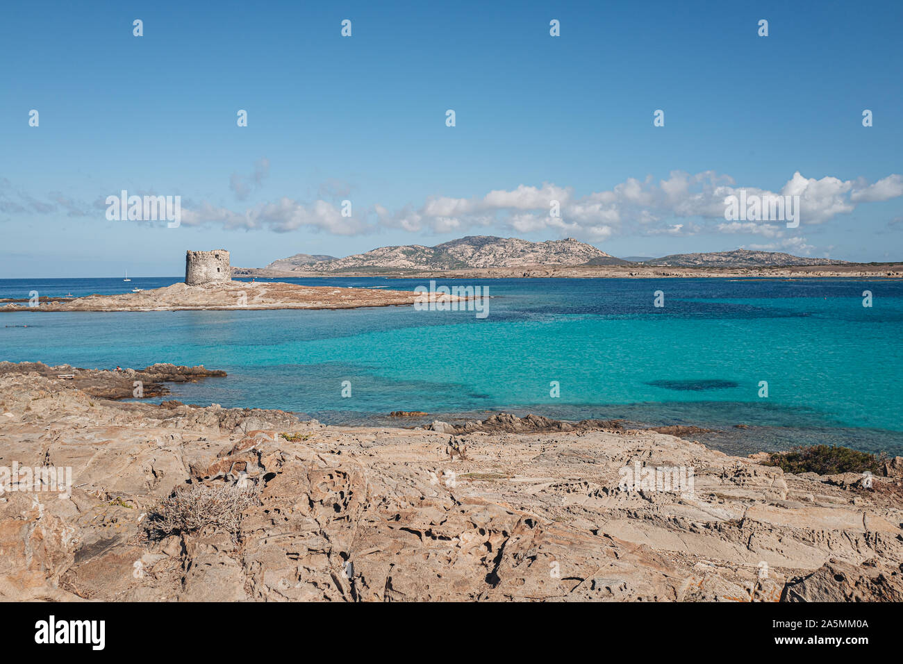 Asinara High Resolution Stock Photography And Images Alamy