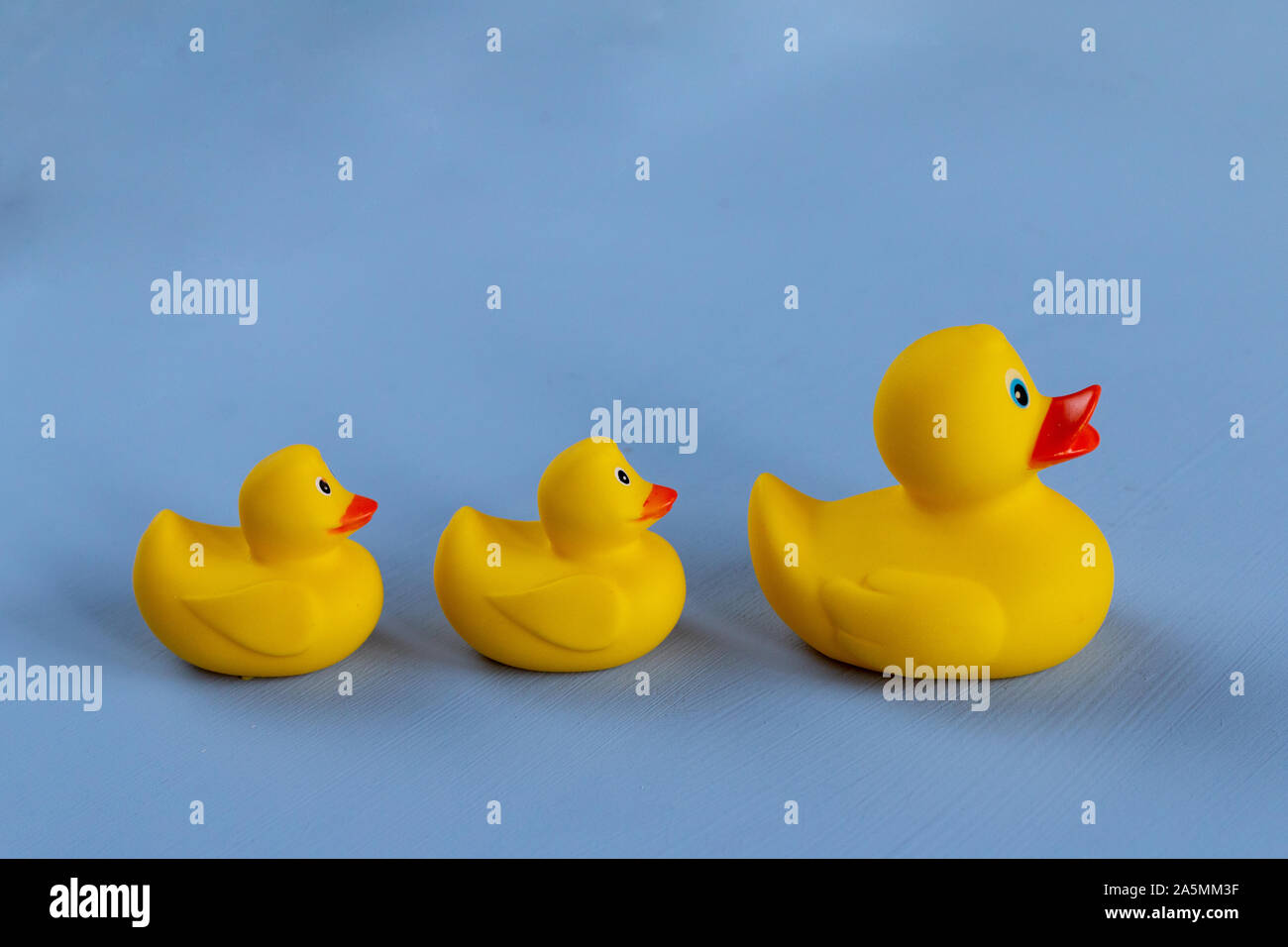 Yellow rubber duck isolated on blue background, space for text Stock ...
