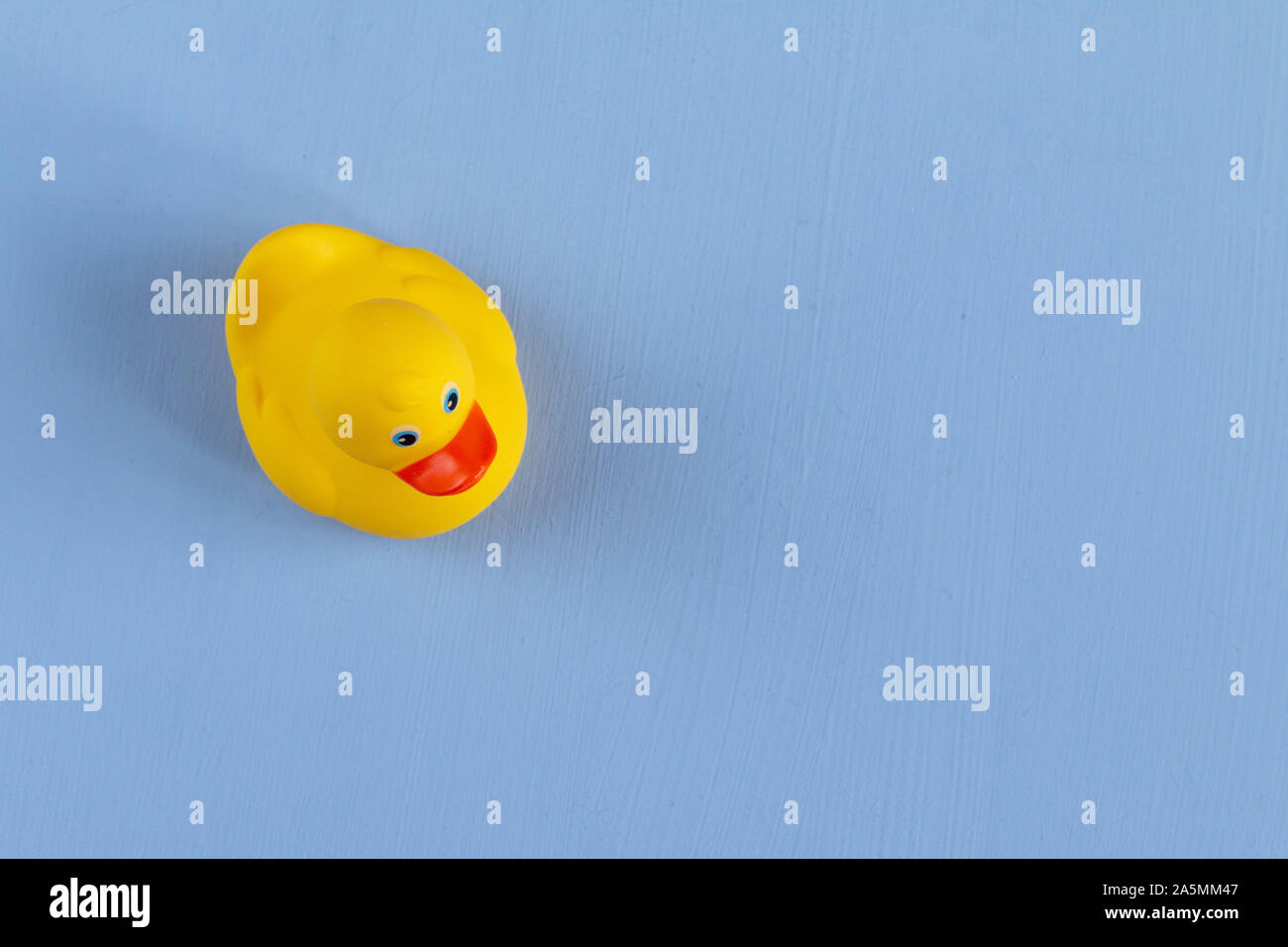 Yellow rubber duck isolated on blue background, space for text Stock ...