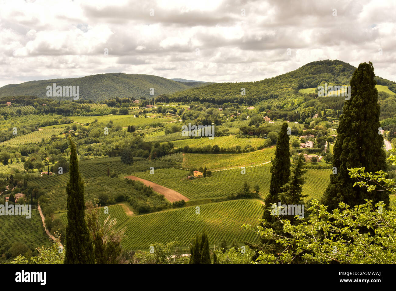 Rolling Hills of Tuscany, Italy Stock Photo Alamy