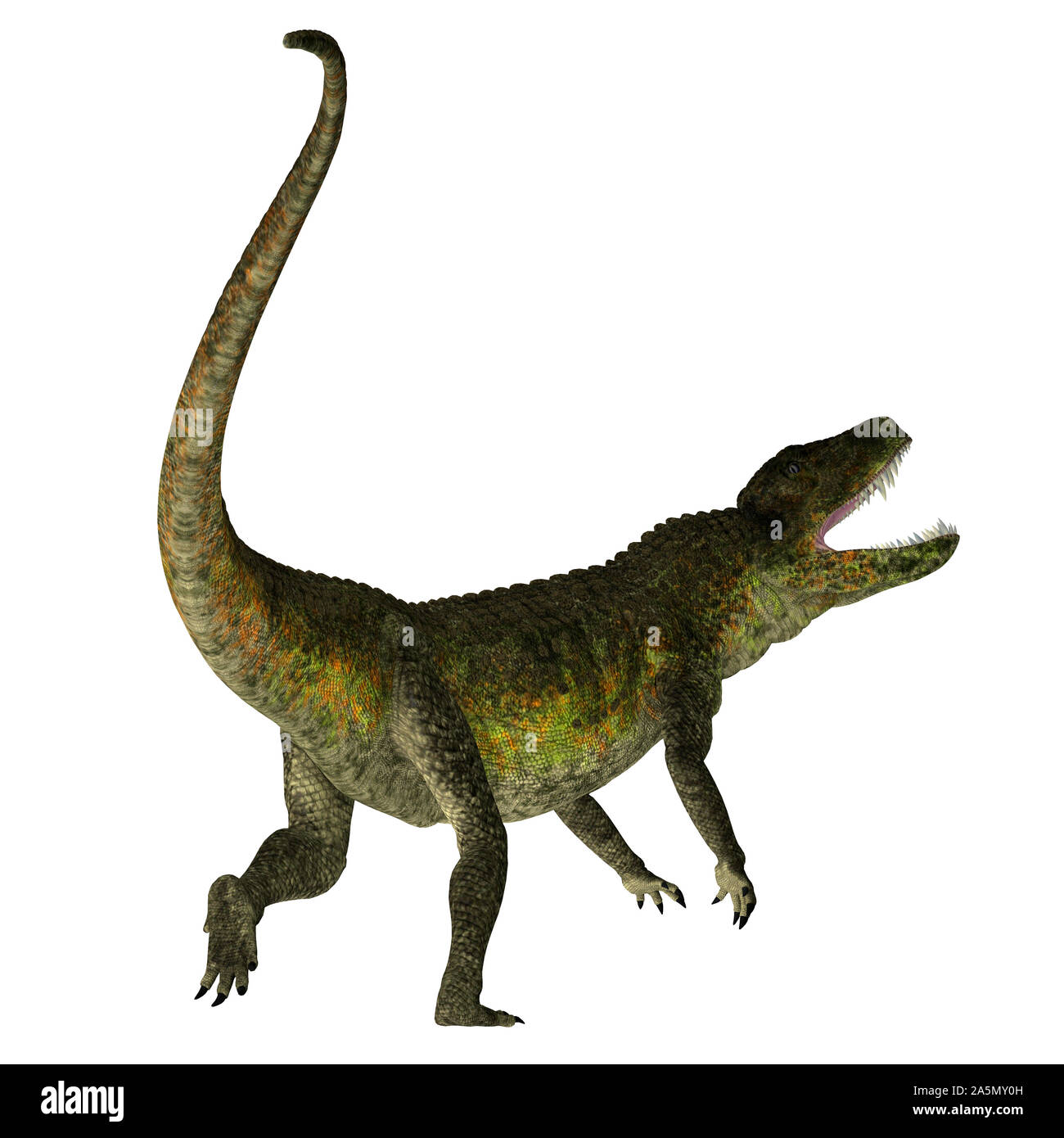 Carnivorous reptile sale