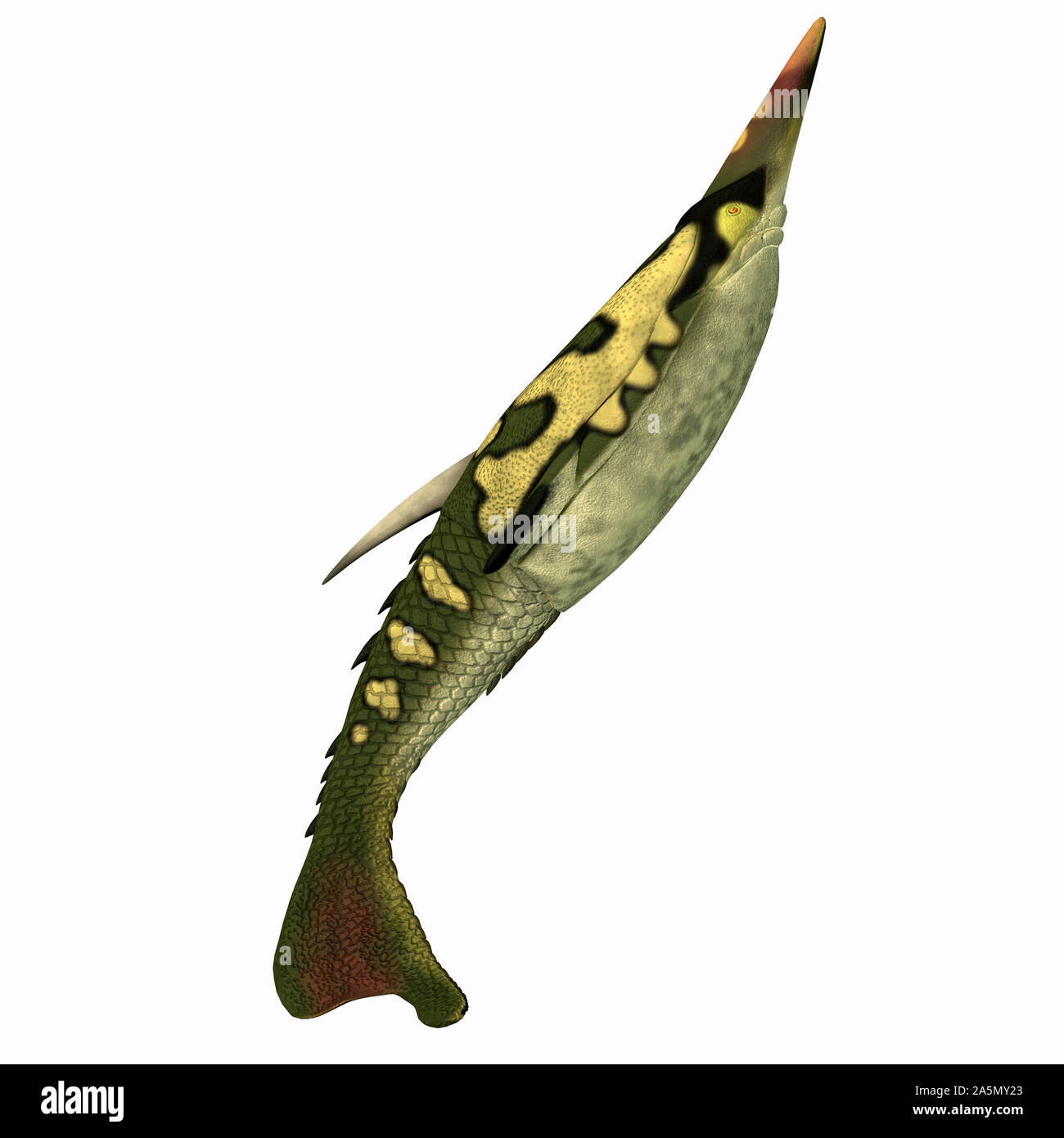 Pteraspis was a carnivorous marine fish that was heavily armored and lived during the Devonian Period. Stock Photo