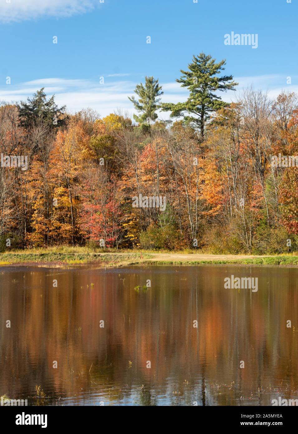 Fall Pond Reflections Changing reflections hi-res stock photography and images - Alamy