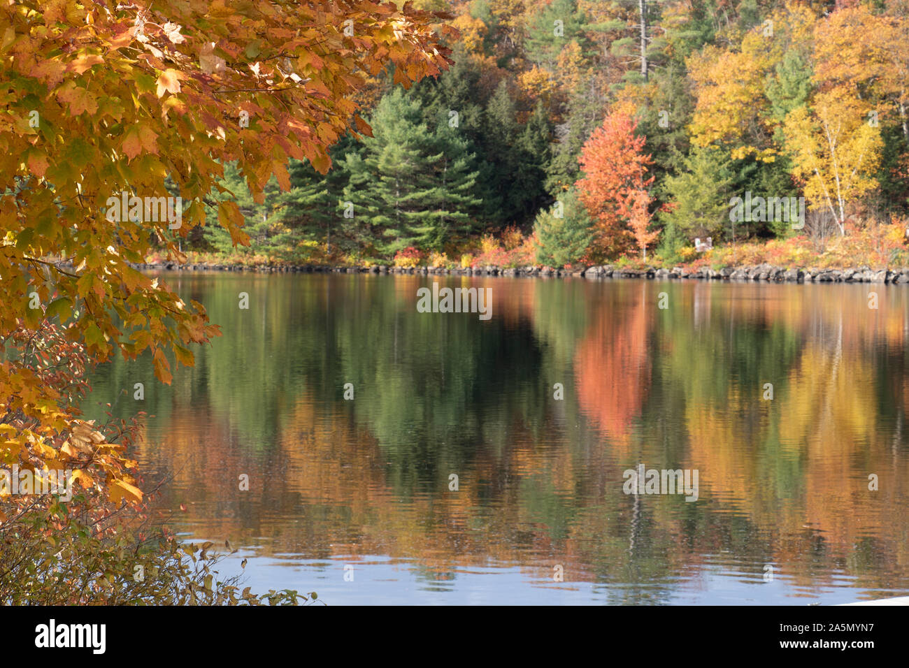 Shiny reflections of autumn colours at a peaceful lake in Ontario Stock Photo