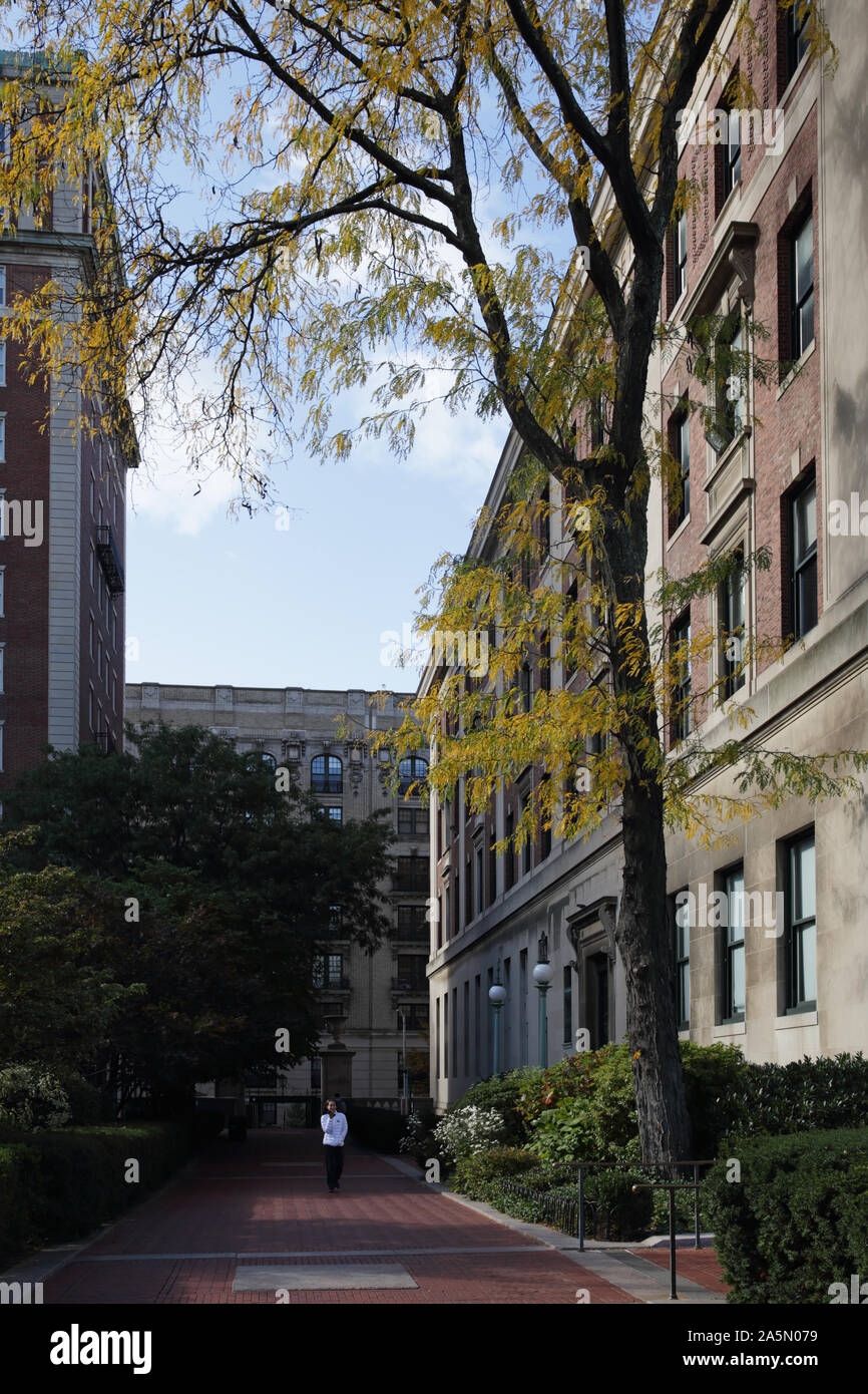 Columbia University campus in Morningside Heights, New York, USA. John Jay Hall on the left and Butler Library on the right. Stock Photo