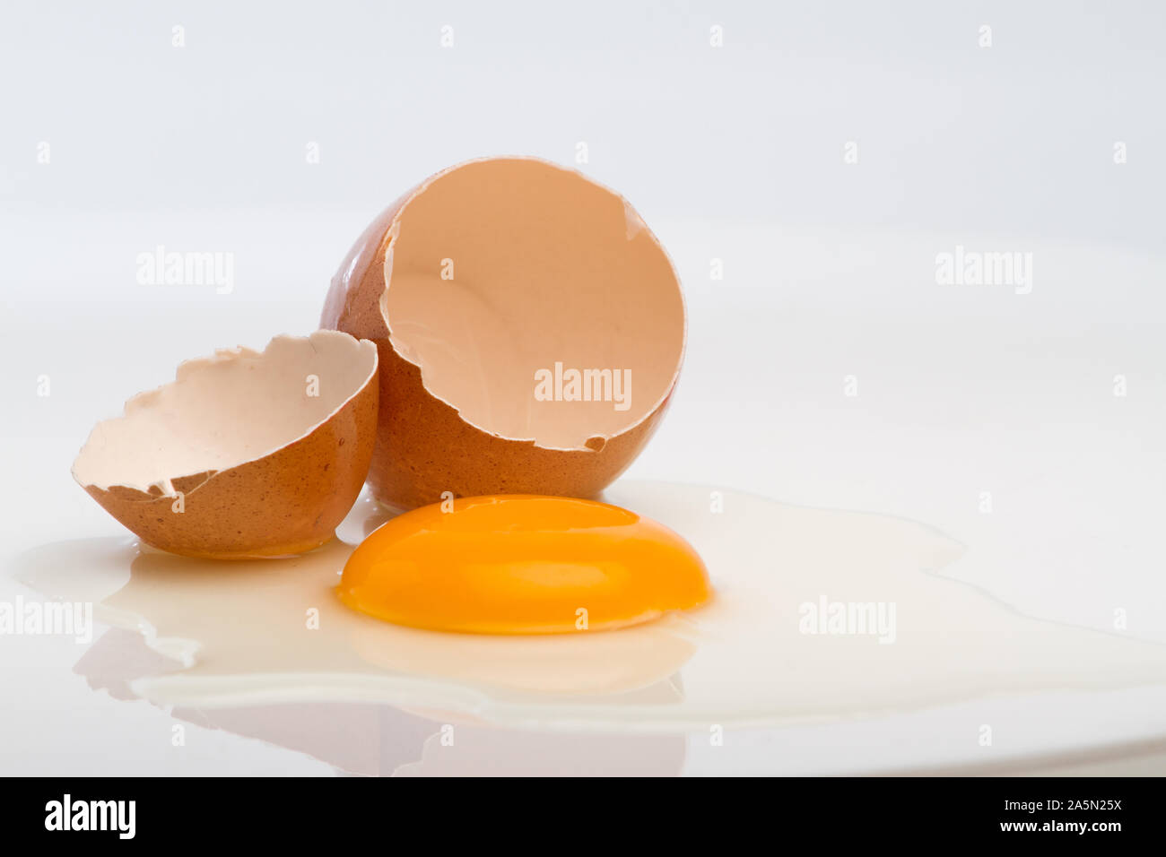 chicken eggs isolated on white background Stock Photo - Alamy