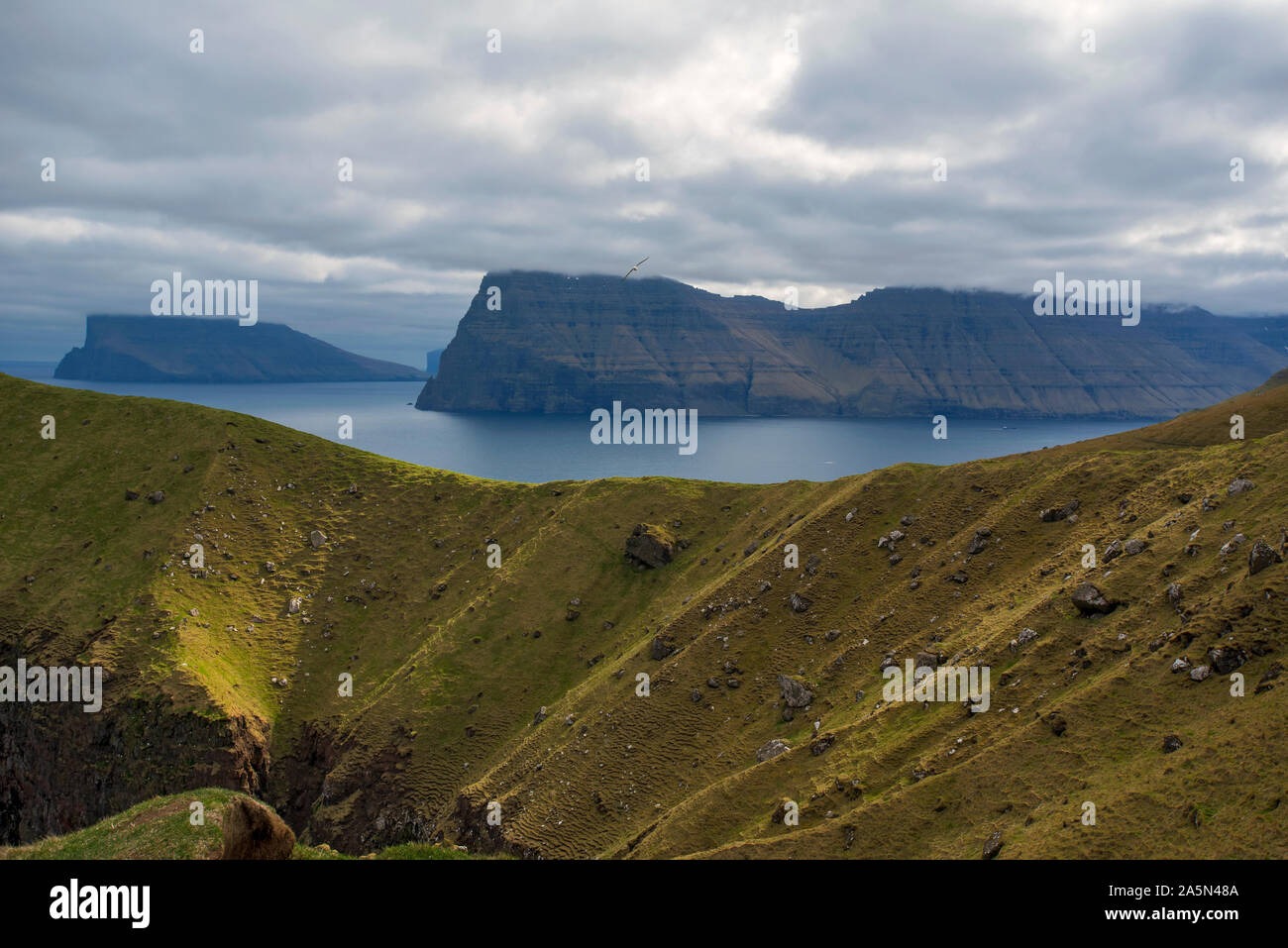 Faroe Islands Stock Photo