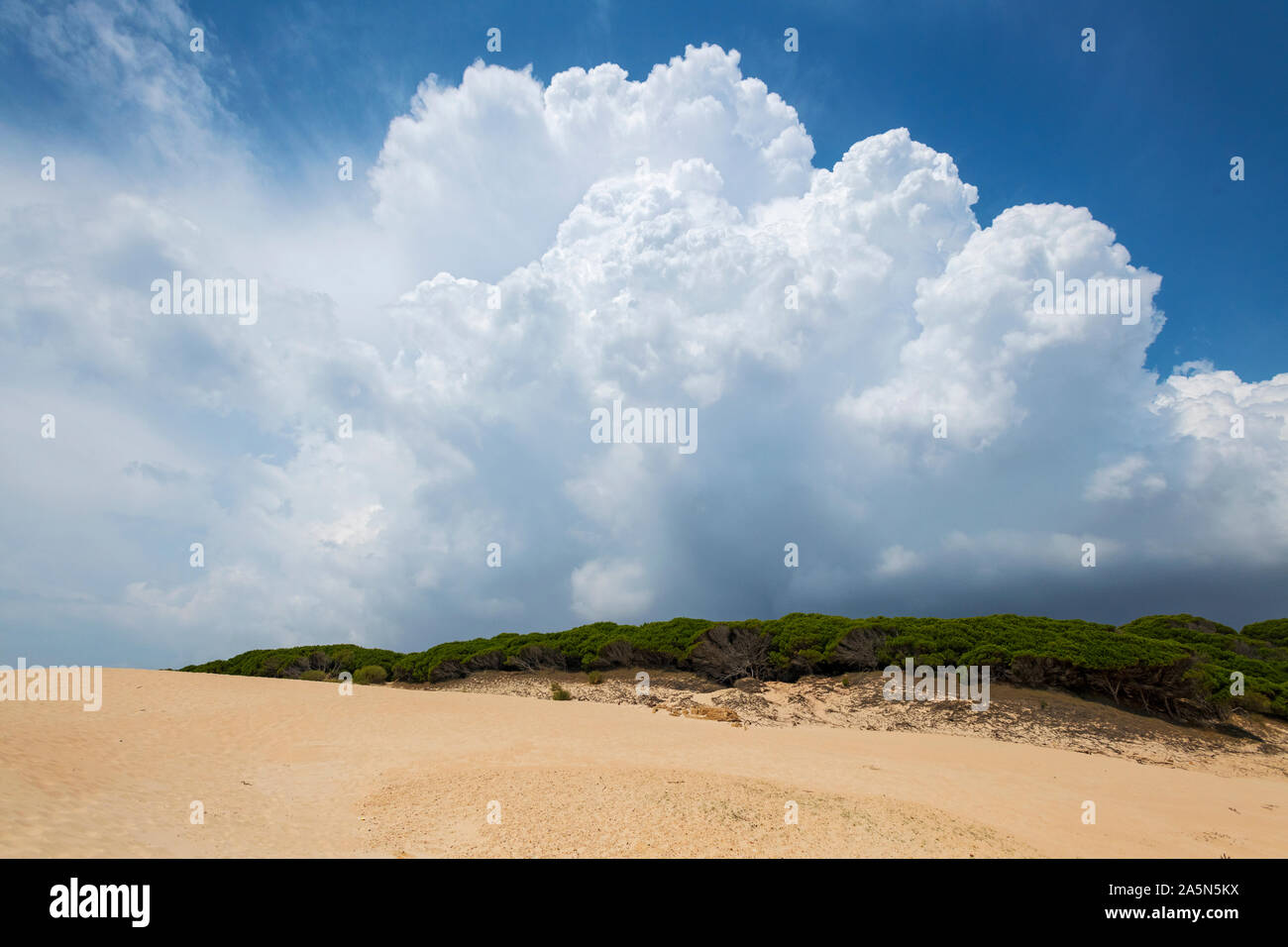 Playa Bolonia, Spain Stock Photo