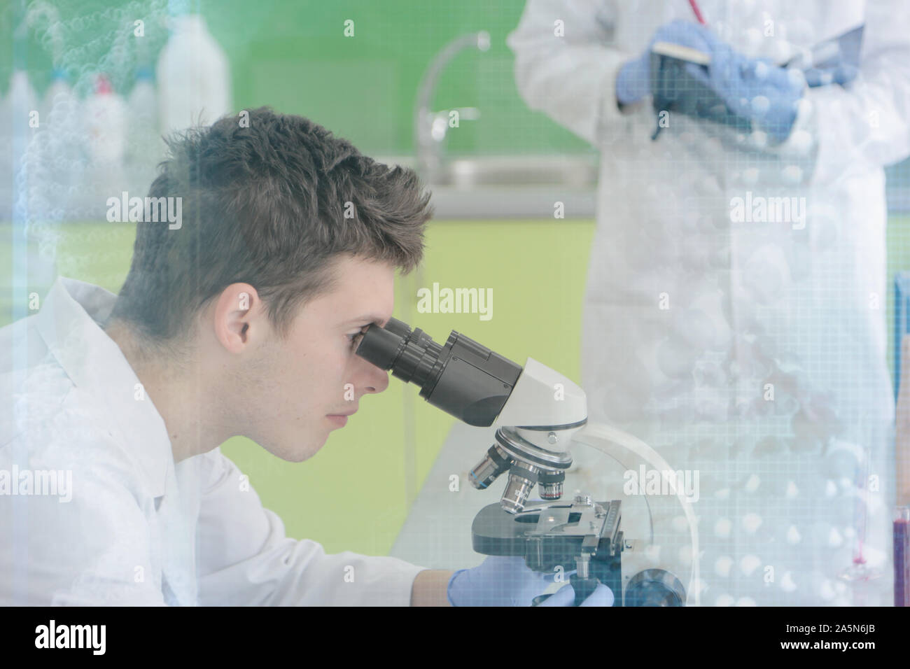Two Young male Laboratory scientists working at lab with test tubes and ...