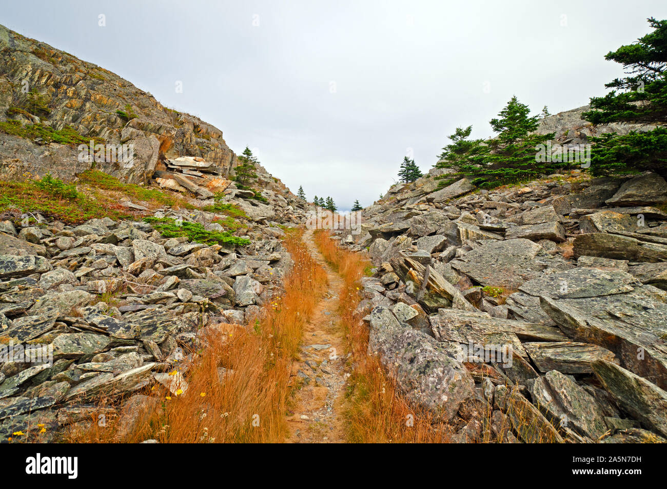 The Bay Roberts Trail in Newfoundland Stock Photo