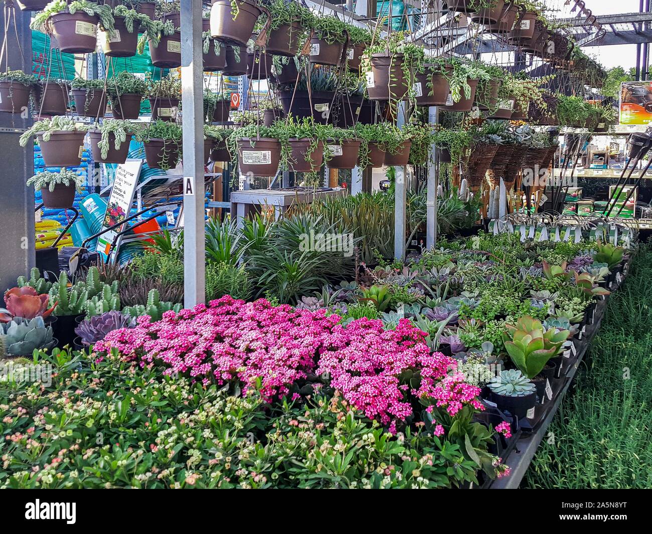 Home Depot Flowers High Resolution Stock Photography And Images Alamy