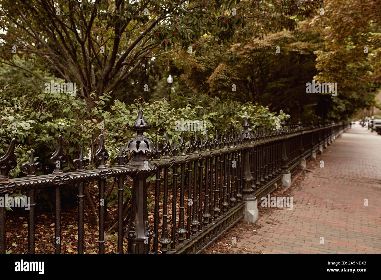 Green Wrought Iron Fence High Resolution Stock Photography and Images ...