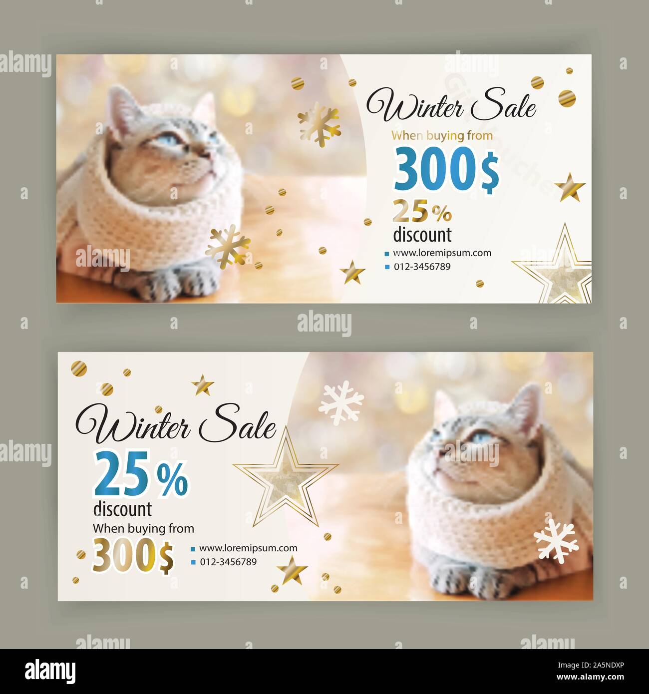 Voucher template. Tabby cat in white scarf. When buying from 300 dollars 25 percent discount. Christmas coupon for cloth sales, zoo stores. Stock Vector