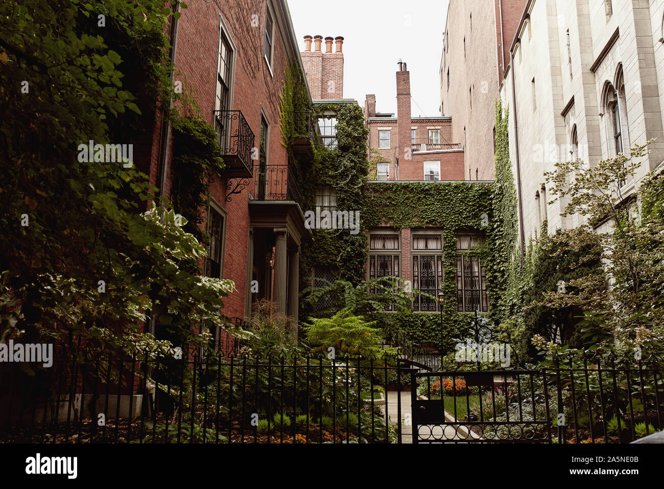 Private Beacon Hill Neighborhood Tour