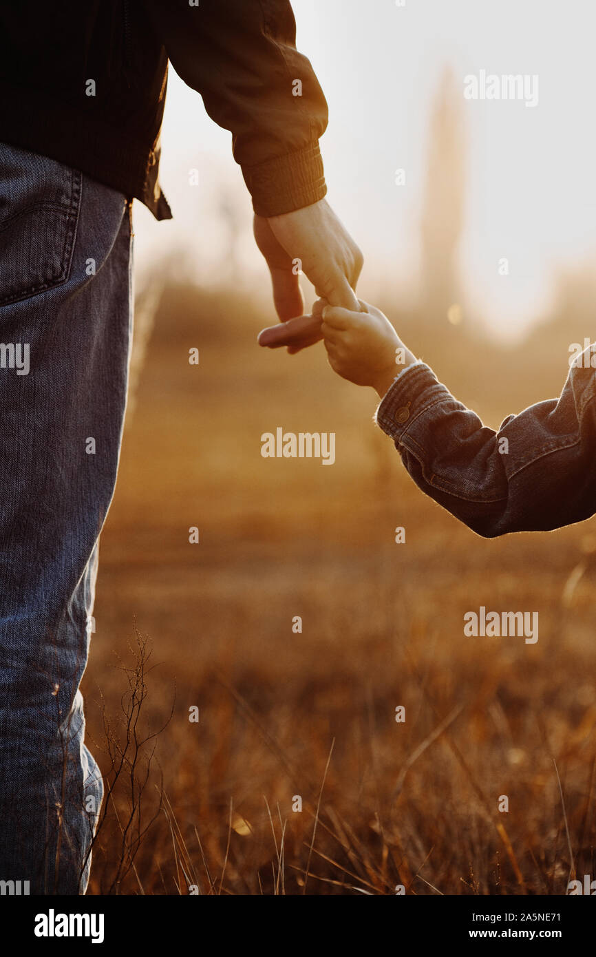 Colse up view of father and son holding hands in backlight Stock Photo