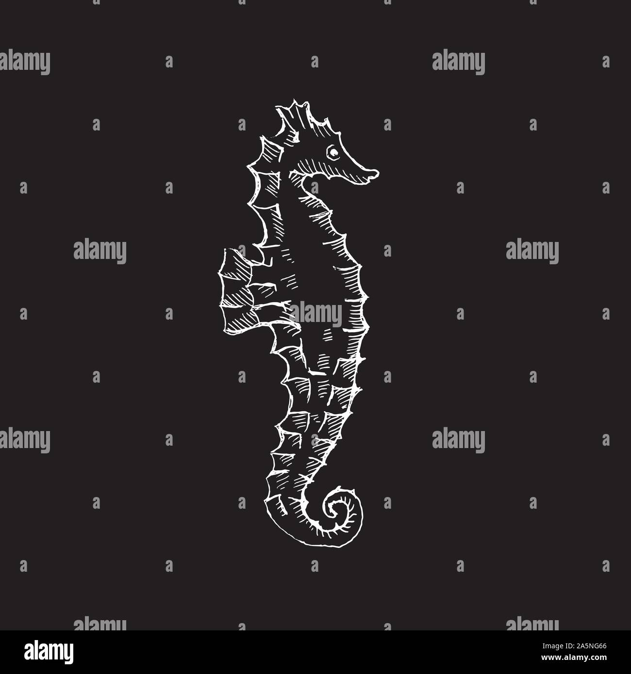 Water horse vector illustration. Water horse hand drawing. Water horse